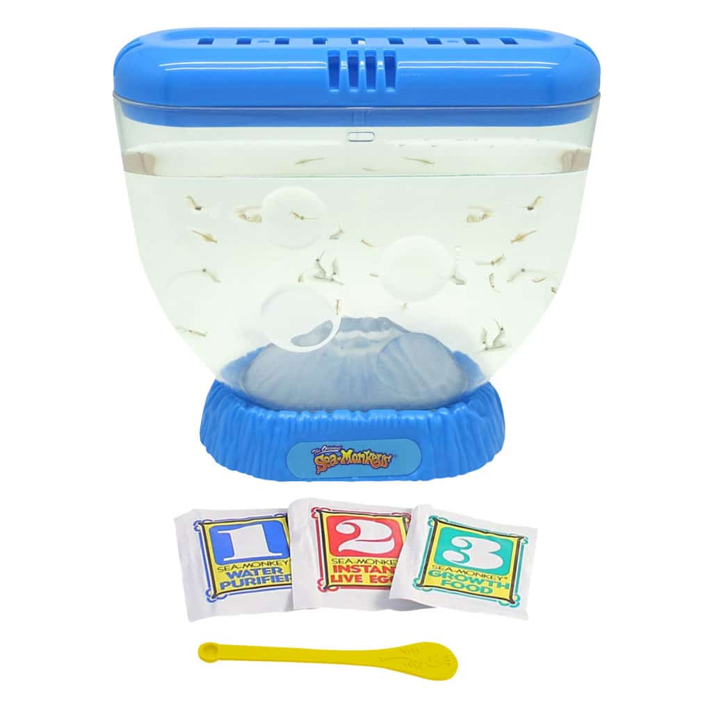 Sea Monkeys Ocean Volcano