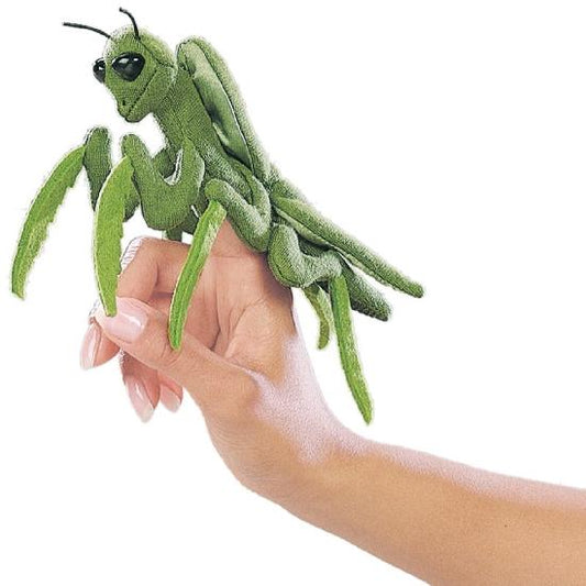 Mini Praying Mantis