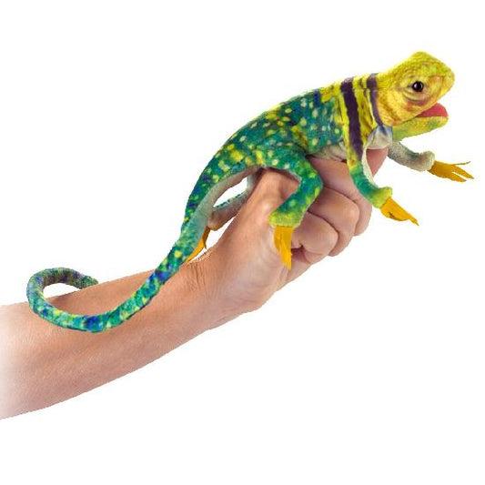 Mini Collared Lizard