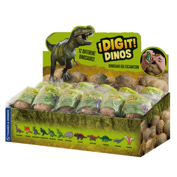 I Dig it! Dinos! | Dino Egg