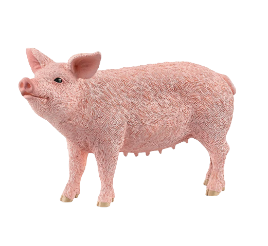 Pig