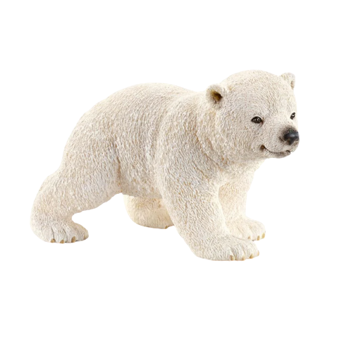 Polar Bear Cub | Walking