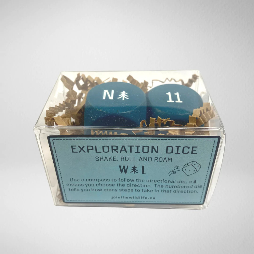 Exploration Dice