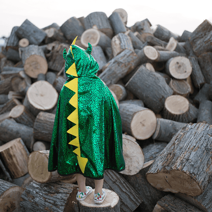 Reversible Dragon Knight Cape | Size 5-6Y