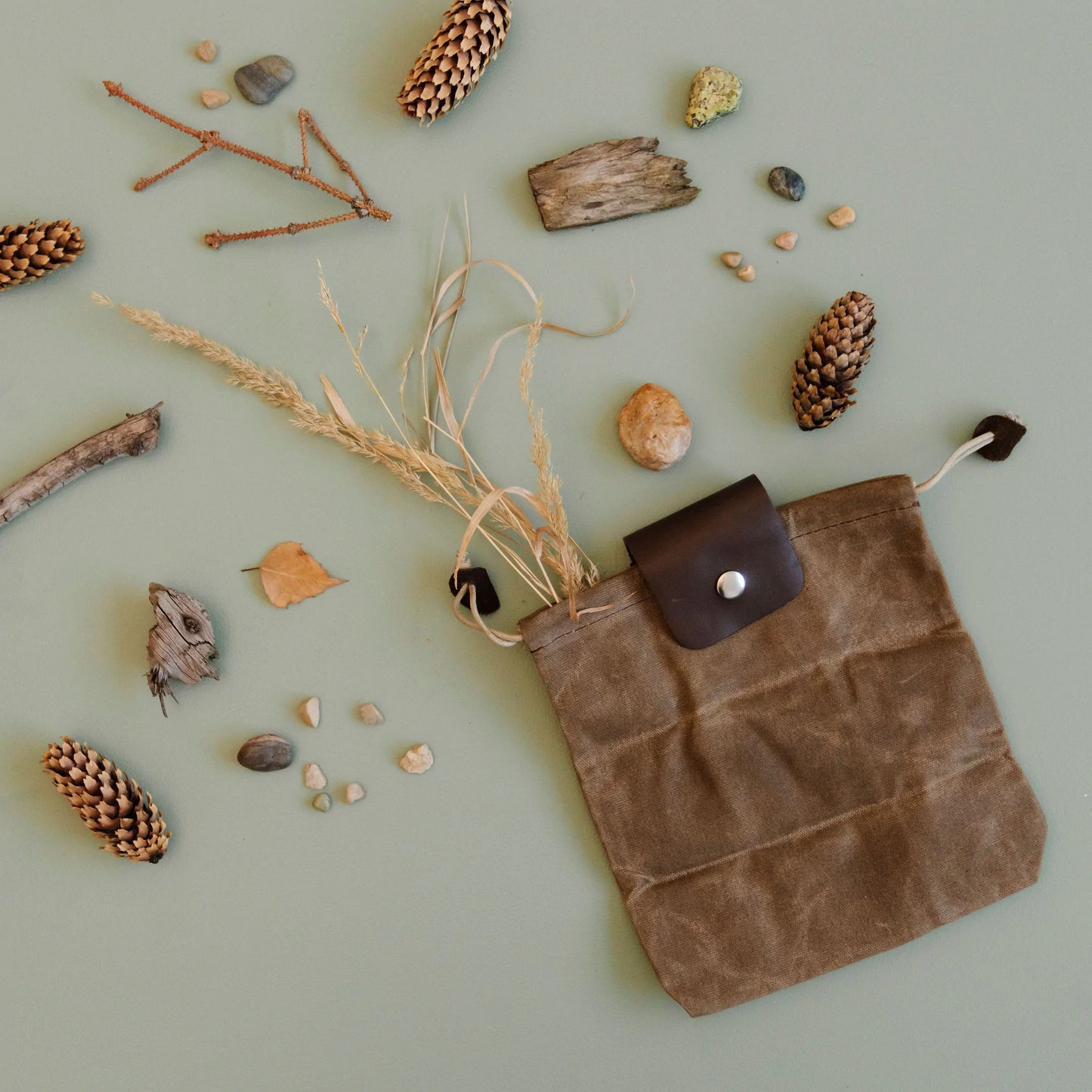 Find New Roots | Foraging Bag
